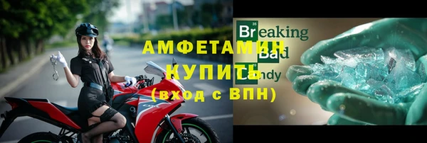 прущие грибы Беломорск