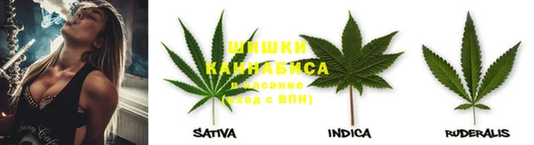 тгк Богородск