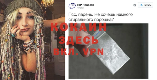 прущие грибы Беломорск