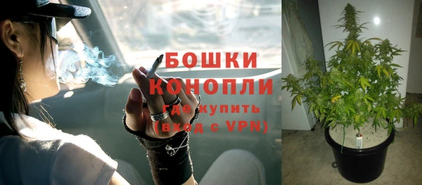 крисы Белоозёрский