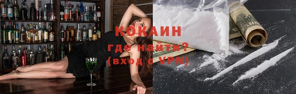 прущие грибы Беломорск